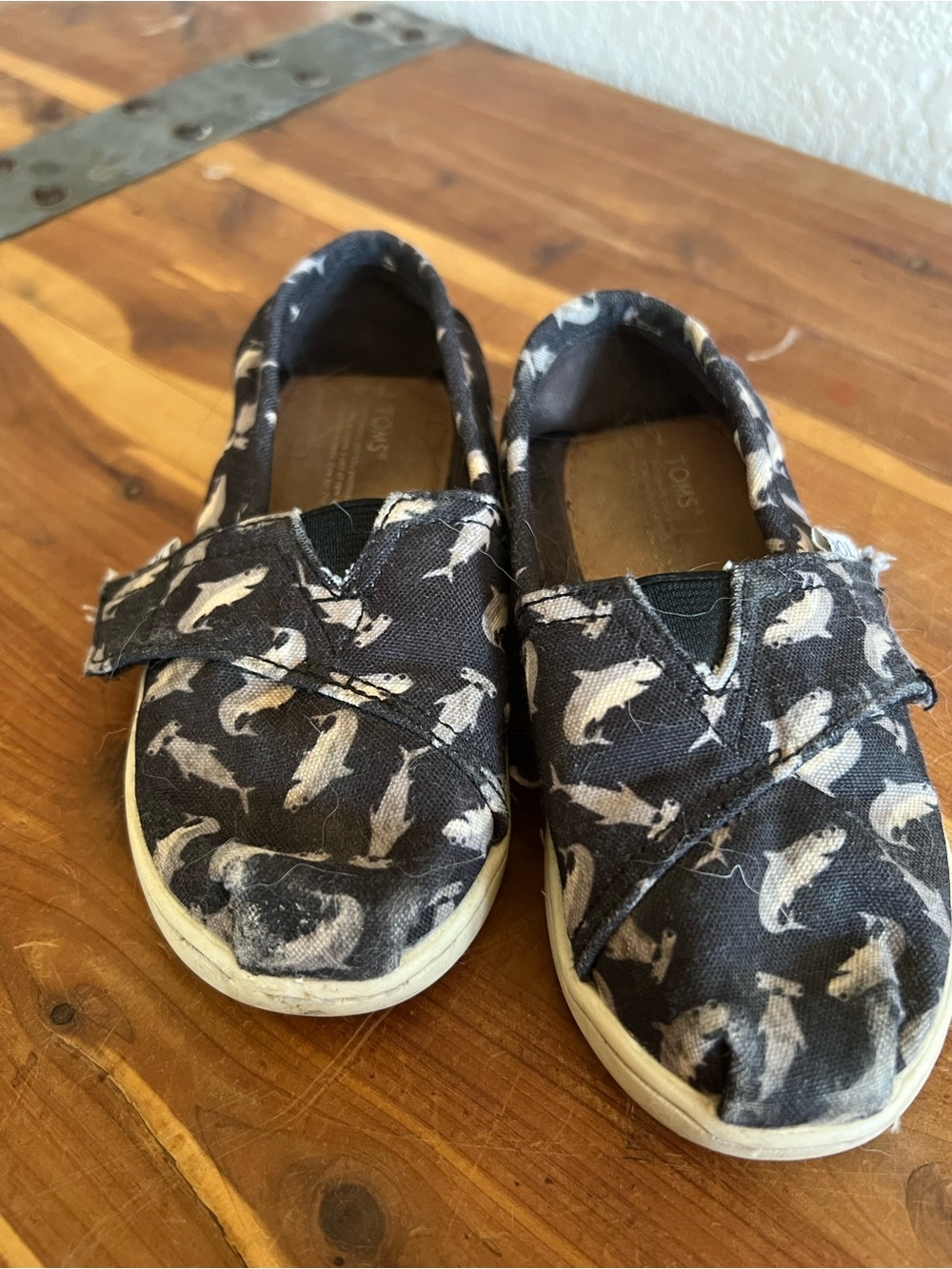 Toms Kids Black Canvas Slip-On Sneakers with Shark Print